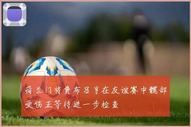 荷兰门将费布吕亨在友谊赛中髋部受伤正等待进一步检查